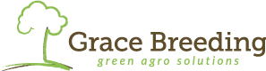 Grace Breeding